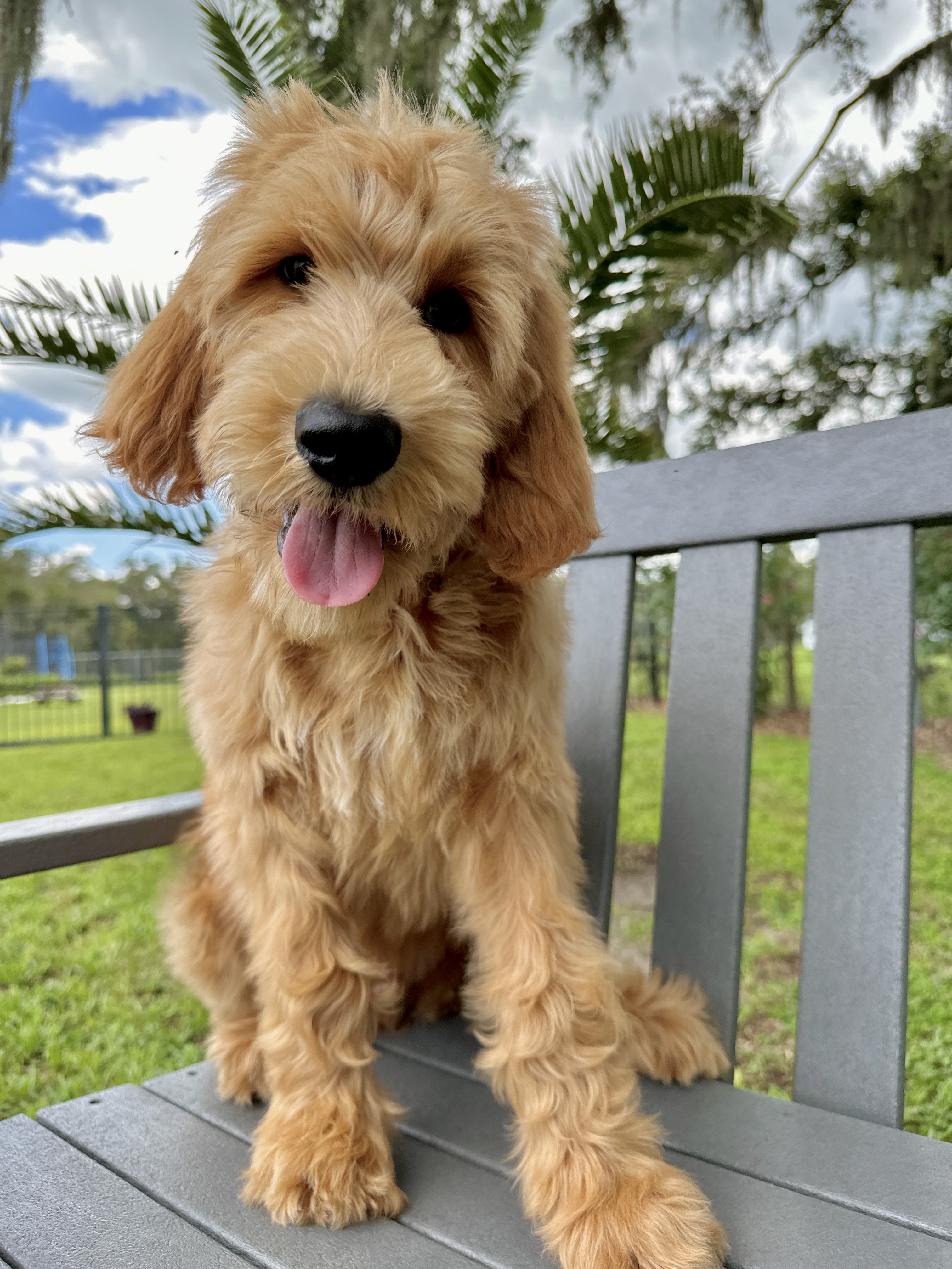 Buster