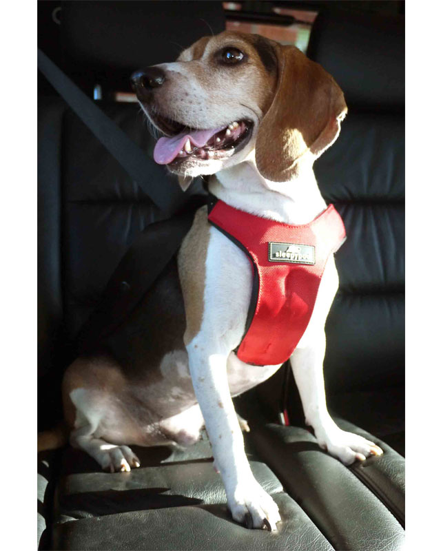 Sleepypod Clickit Car Safety Harness